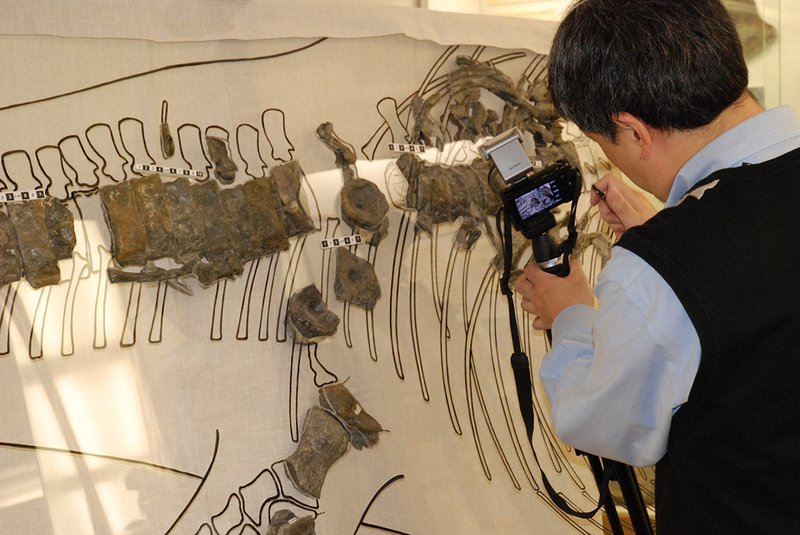 Prof. Motani Prof. Motani