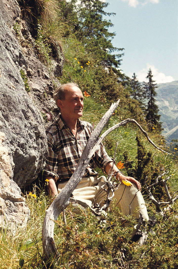Bera Heinrich Moroder de Doss (1896-1974) à giapà su ti primes ani dl 1950 tla Arenaries de Gherdëina de Cuecenes i restc ciarbunisei de n lën da odla che lessù à giapà l’inuem “Ortiseia leonardii” (Permian, 290-260 mio. d’ani) Bera Heinrich Moroder de Doss (1896-1974) à giapà su ti primes ani dl 1950 tla Arenaries de Gherdëina de Cuecenes i restc ciarbunisei de n lën da odla che lessù à giapà l’inuem “Ortiseia leonardii” (Permian, 290-260 mio. d’ani)